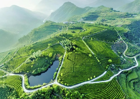 年度投资约15亿元 成都都市圈今年重点推动9个生态环保项目