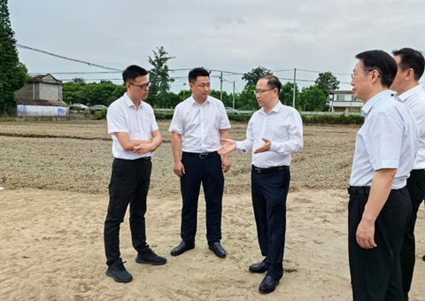 胡云赴眉山调研耕地；だ煤透叱叨扰┨锝ㄉ韫ぷ
