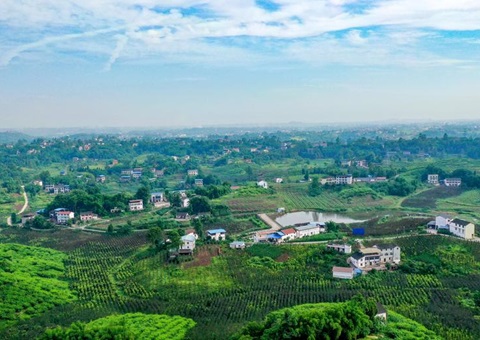 2024年度四川省重点区域天然资源统一确权登记项目启动