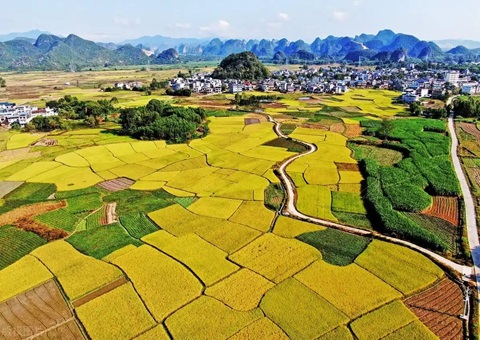 强化“指挥棒”作用&nbsp;&nbsp;金昌市发放500万元耕地；ぁ凹だ彀