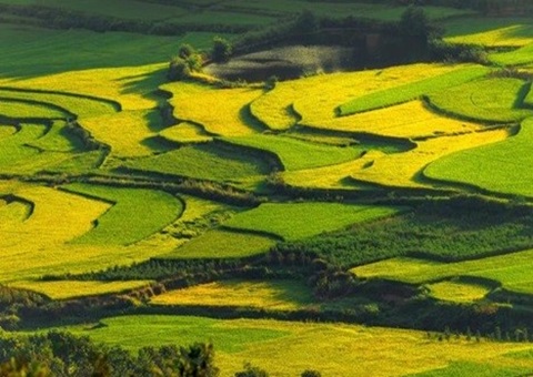 四川颁布第二批重大项目节地案例 推动地皮资源高效集约利用