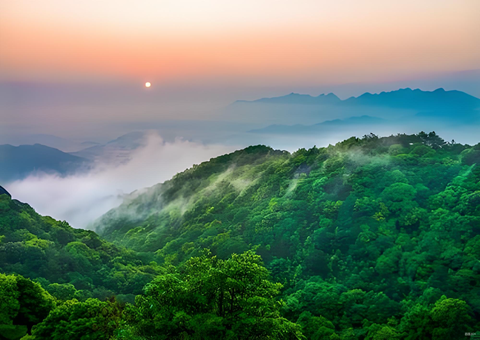 福建丛林提质四大行动打造苍生“幸？可健