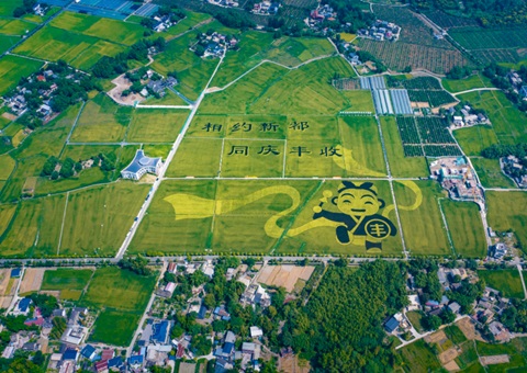 成都颁布耕地；す婊〗10年这样筑牢“天府粮仓”根基