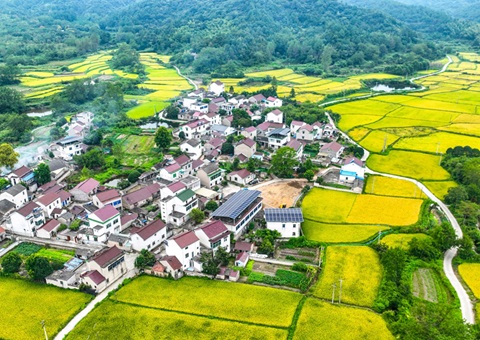 安徽省天然资源厅：130个乡镇耕地；こ删屯蛊 获赔偿激励1.3亿元