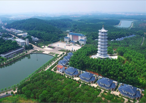 湖北：用好“一张图” ，智治有支持