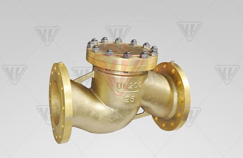 Oxygen special check valve